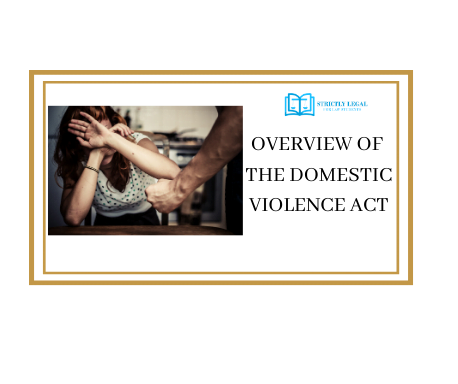 OVERVIEW OF THE DOMESTIC VIOLENCE ACT